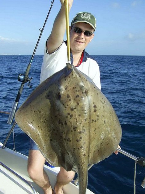 roughtail stingray Cavalier & Blue Marlin Sport Fishing Gran Canaria