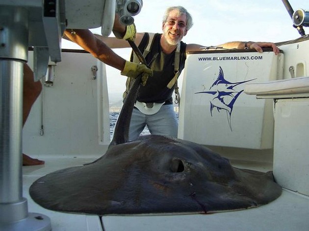round stingray Cavalier & Blue Marlin Sport Fishing Gran Canaria