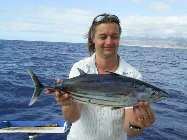 skipjack tuna Cavalier & Blue Marlin Sport Fishing Gran Canaria