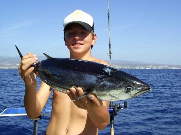 skipjack tuna Cavalier & Blue Marlin Sport Fishing Gran Canaria