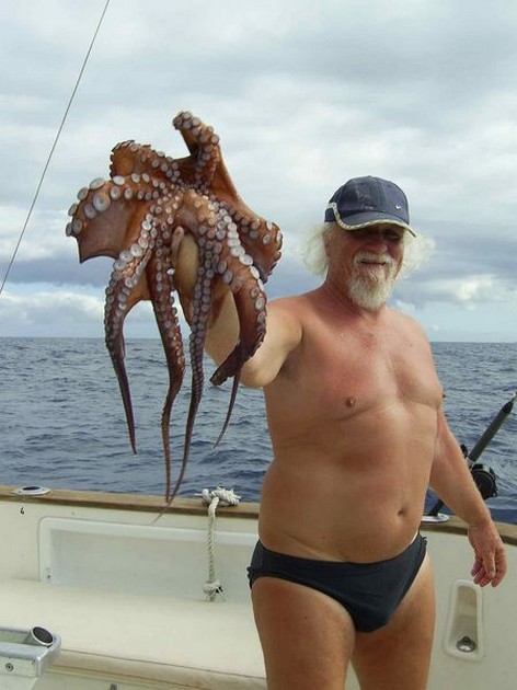 octopus Cavalier & Blue Marlin Sport Fishing Gran Canaria