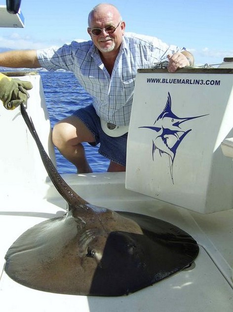round stingray Cavalier & Blue Marlin Sport Fishing Gran Canaria