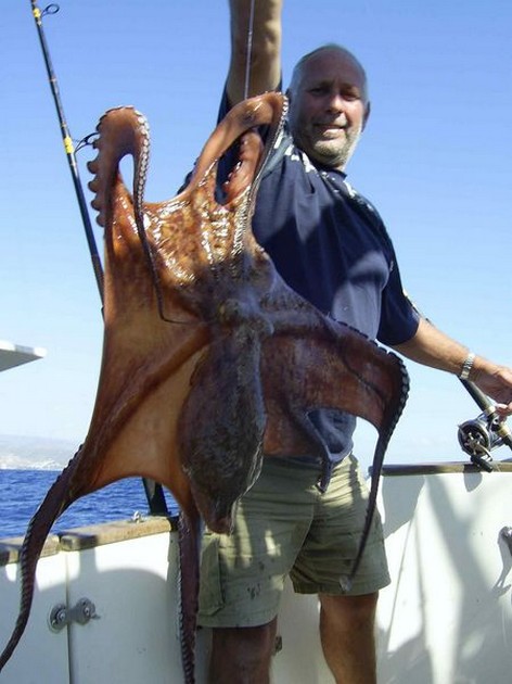 octopus Cavalier & Blue Marlin Sport Fishing Gran Canaria