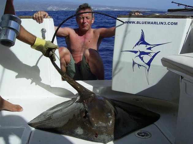 common stingray Cavalier & Blue Marlin Sport Fishing Gran Canaria