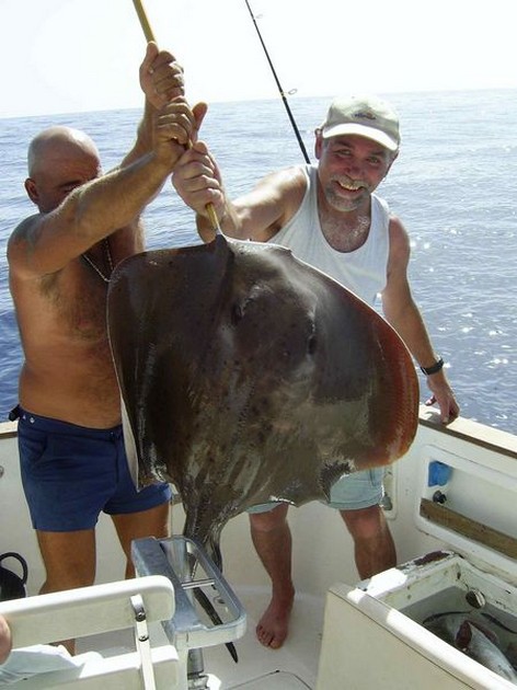 roughtail stingray Cavalier & Blue Marlin Sport Fishing Gran Canaria