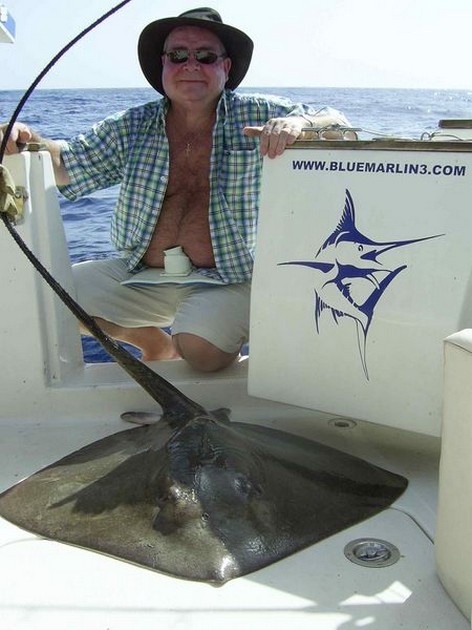 common stingray Cavalier & Blue Marlin Sport Fishing Gran Canaria