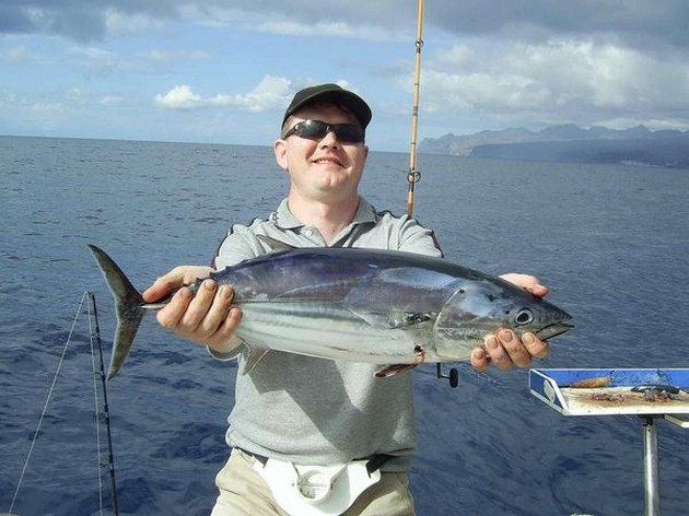 skipjack tuna Cavalier & Blue Marlin Sport Fishing Gran Canaria