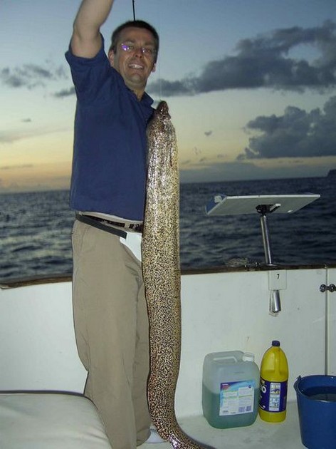 tiger moray Cavalier & Blue Marlin Sport Fishing Gran Canaria