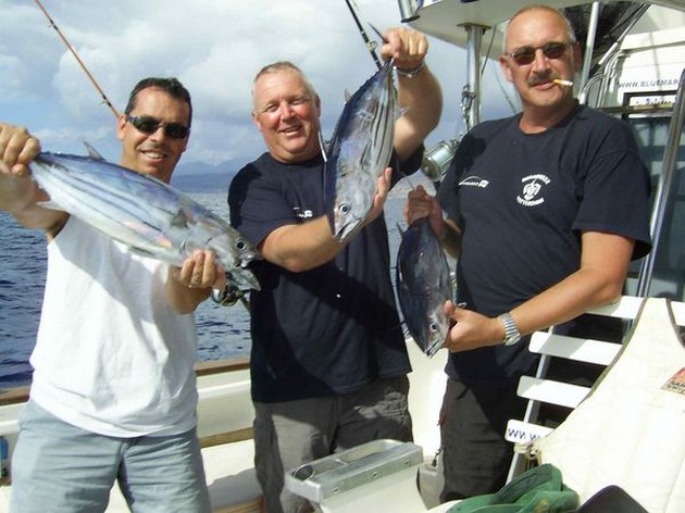 skipjack tuna Cavalier & Blue Marlin Sport Fishing Gran Canaria