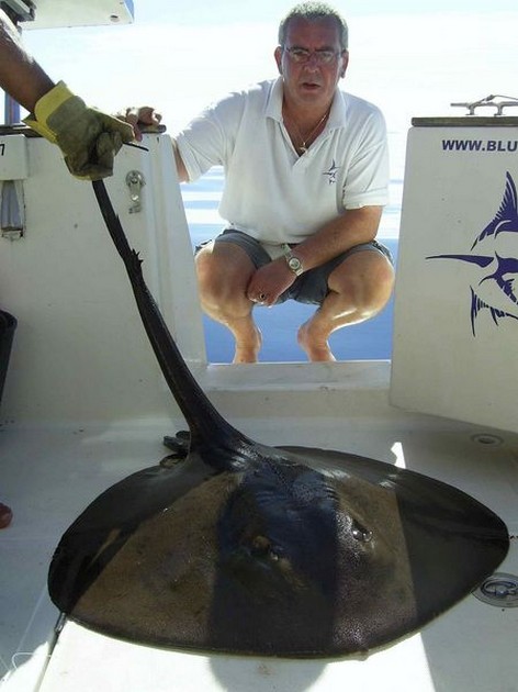 round stingray Cavalier & Blue Marlin Sport Fishing Gran Canaria