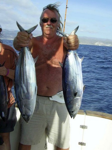 skipjack tuna Cavalier & Blue Marlin Sport Fishing Gran Canaria