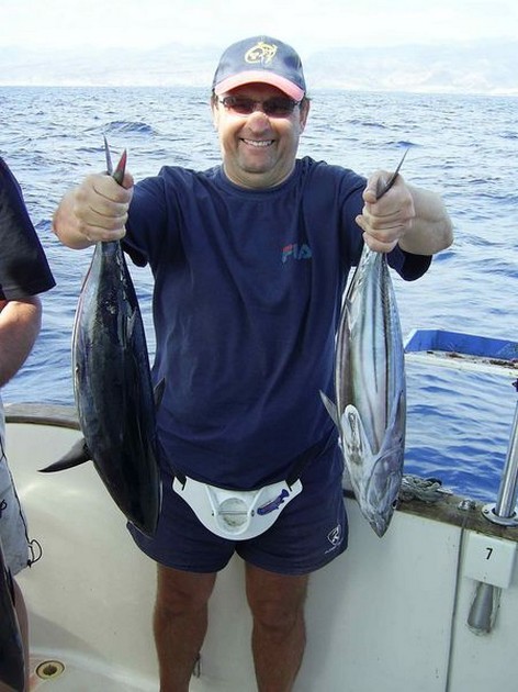skipjack tuna Cavalier & Blue Marlin Sport Fishing Gran Canaria
