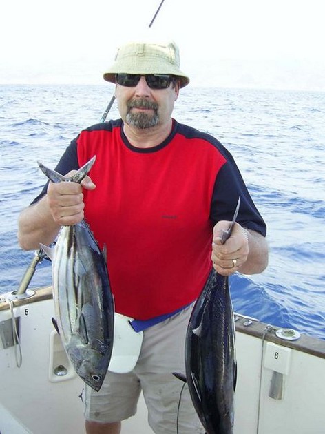 skipjack tuna Cavalier & Blue Marlin Sport Fishing Gran Canaria