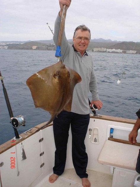 common stingray Cavalier & Blue Marlin Sport Fishing Gran Canaria