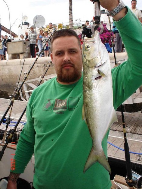 kingfish Cavalier & Blue Marlin Sport Fishing Gran Canaria