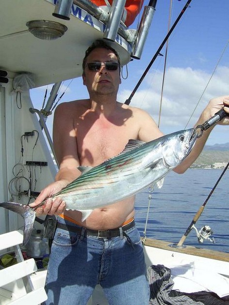 north atlantic bonito Cavalier & Blue Marlin Sport Fishing Gran Canaria