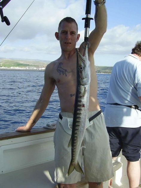 roughtail stingray Cavalier & Blue Marlin Sport Fishing Gran Canaria