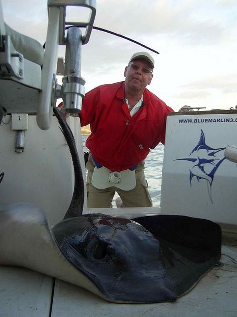 roughtail stingray Cavalier & Blue Marlin Sport Fishing Gran Canaria