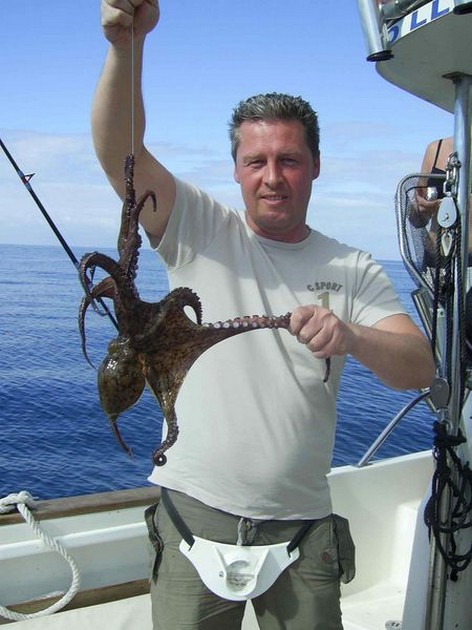 octopus Cavalier & Blue Marlin Sport Fishing Gran Canaria