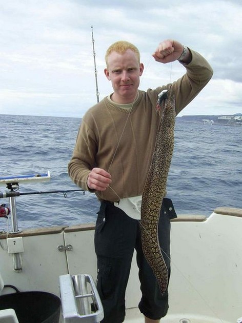 mediterranean moray eel Cavalier & Blue Marlin Sport Fishing Gran Canaria