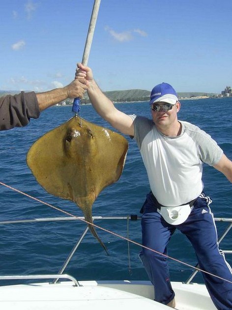 common stingray Cavalier & Blue Marlin Sport Fishing Gran Canaria
