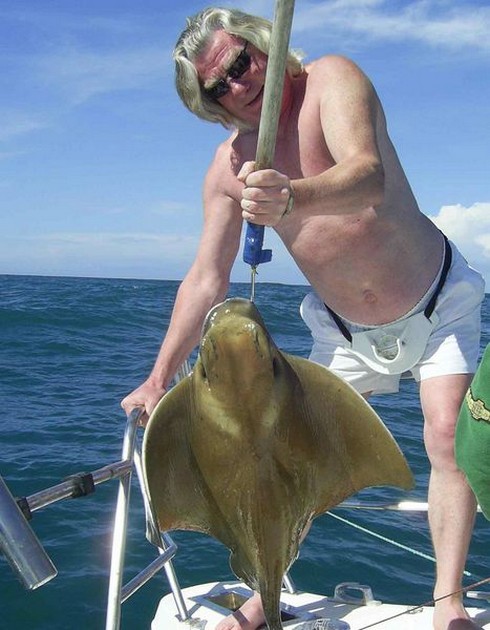cownose ray Cavalier & Blue Marlin Sport Fishing Gran Canaria