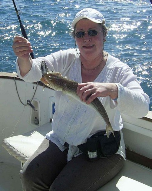 lizard fish Cavalier & Blue Marlin Sport Fishing Gran Canaria