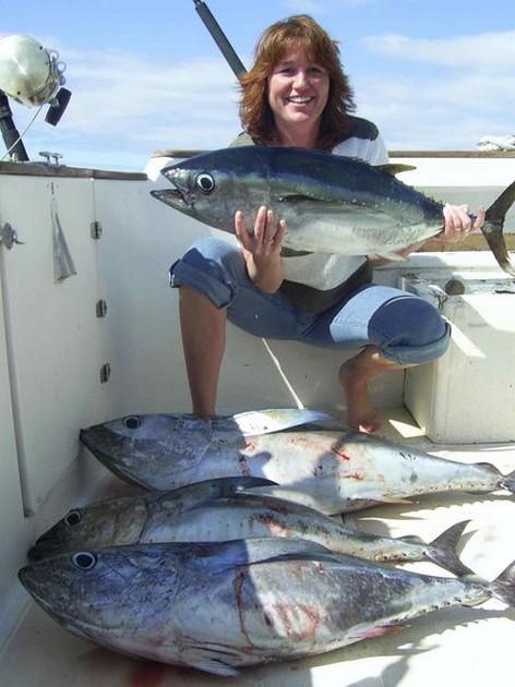 big eye tuna Cavalier & Blue Marlin Sport Fishing Gran Canaria