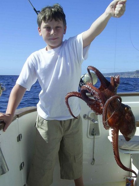 octopus Cavalier & Blue Marlin Sport Fishing Gran Canaria
