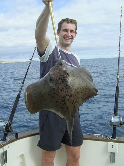 roughtail stingray Cavalier & Blue Marlin Sport Fishing Gran Canaria