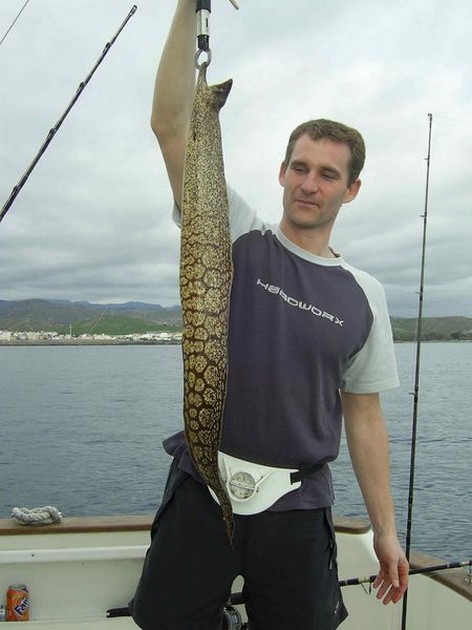 tiger moray Cavalier & Blue Marlin Sport Fishing Gran Canaria