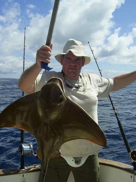eagle ray Cavalier & Blue Marlin Sport Fishing Gran Canaria