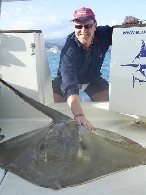 common stingray Cavalier & Blue Marlin Sport Fishing Gran Canaria