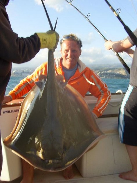 common stingray Cavalier & Blue Marlin Sport Fishing Gran Canaria