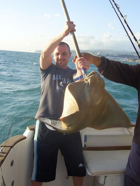 cownose ray Cavalier & Blue Marlin Sport Fishing Gran Canaria