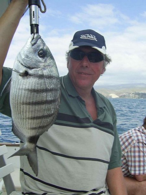 white seabream Cavalier & Blue Marlin Sport Fishing Gran Canaria