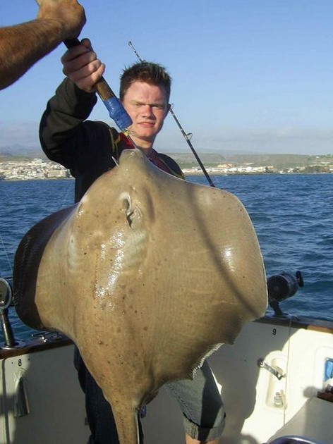 common stingray Cavalier & Blue Marlin Sport Fishing Gran Canaria
