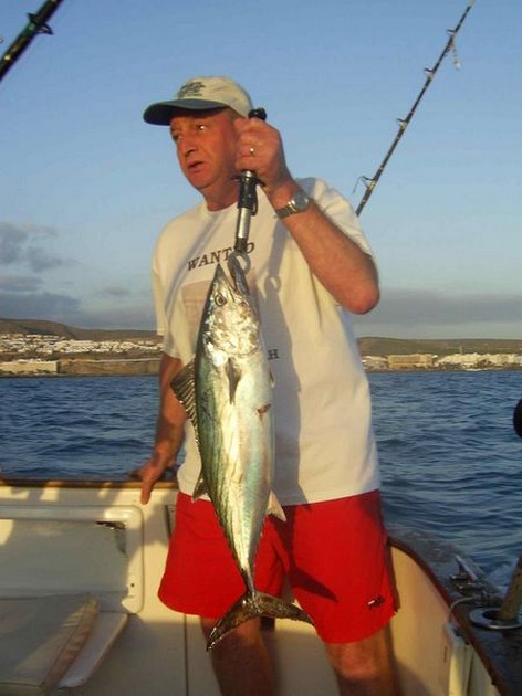 north atlantic bonito Cavalier & Blue Marlin Sport Fishing Gran Canaria