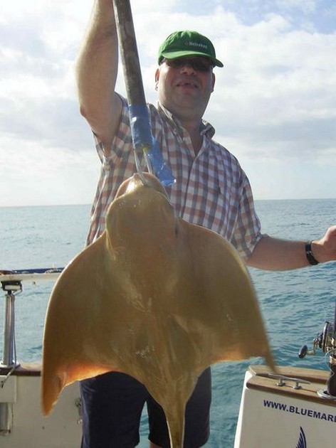 eagle ray Cavalier & Blue Marlin Sport Fishing Gran Canaria