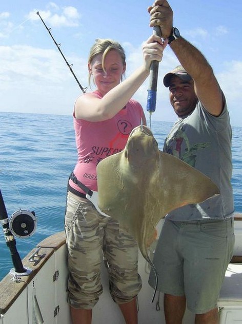 common stingray Cavalier & Blue Marlin Sport Fishing Gran Canaria