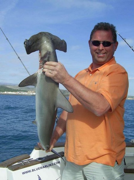 hammerhead shark Cavalier & Blue Marlin Sport Fishing Gran Canaria