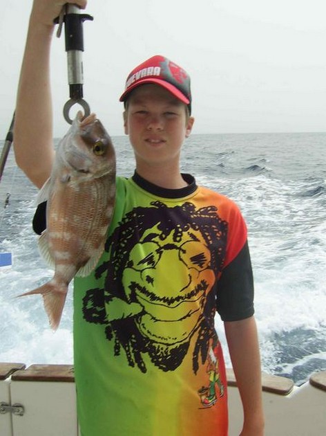 redbanded seabream Cavalier & Blue Marlin Sport Fishing Gran Canaria