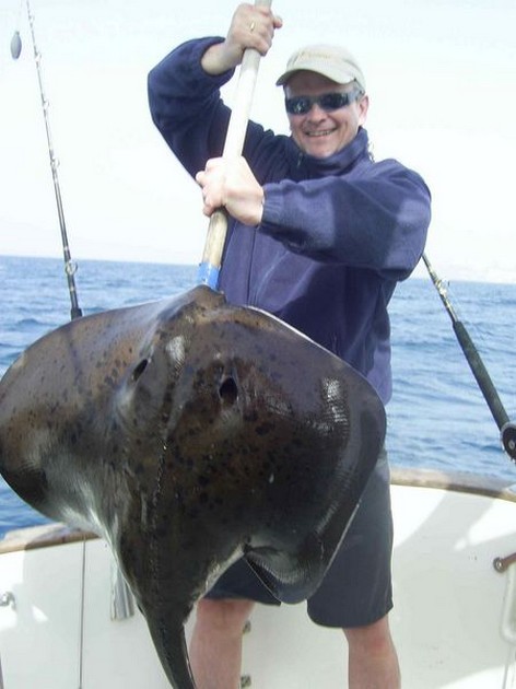 roughtail stingray Cavalier & Blue Marlin Sport Fishing Gran Canaria