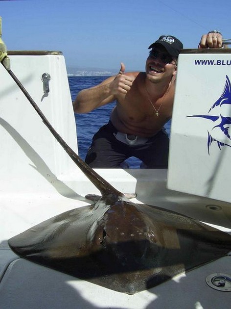 common stingray Cavalier & Blue Marlin Sport Fishing Gran Canaria