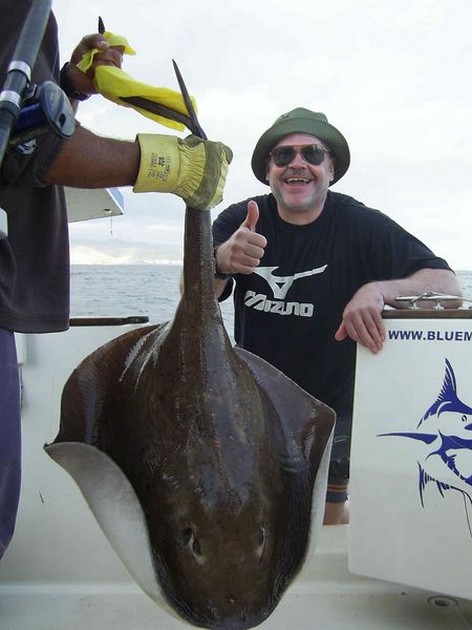 roughtail stingray Cavalier & Blue Marlin Sport Fishing Gran Canaria