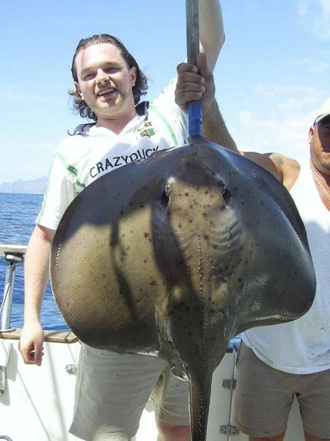 round stingray Cavalier & Blue Marlin Sport Fishing Gran Canaria