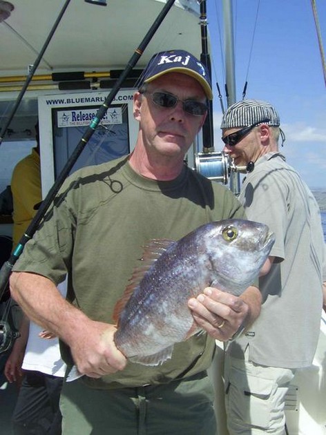 red snapper Cavalier & Blue Marlin Sport Fishing Gran Canaria