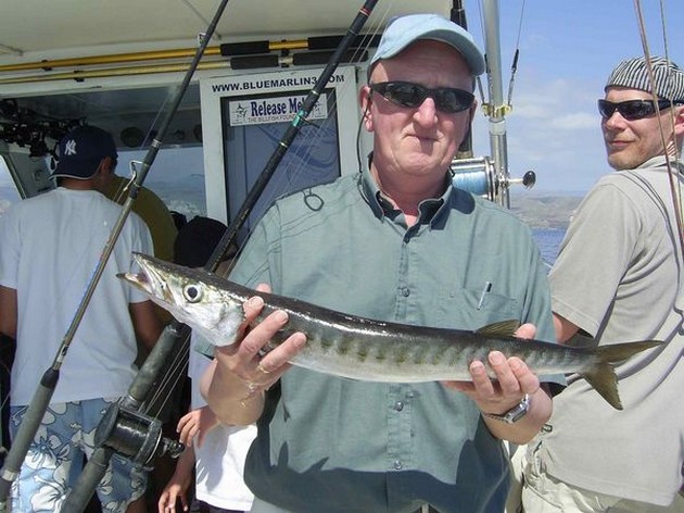 baracuda Cavalier & Blue Marlin Sport Fishing Gran Canaria