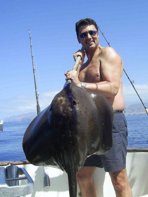 roughtail stingray Cavalier & Blue Marlin Sport Fishing Gran Canaria