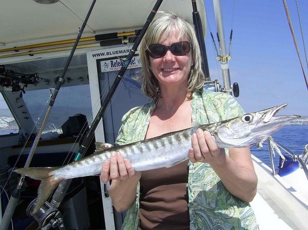 baracuda Cavalier & Blue Marlin Sport Fishing Gran Canaria